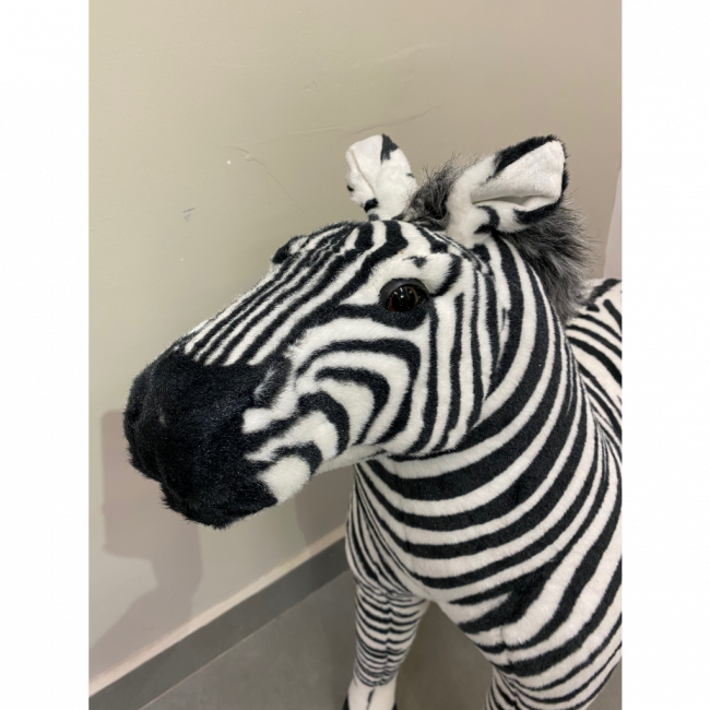 Zebra Safari Pelúcia GG